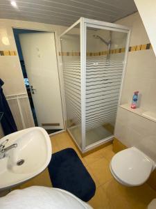 La salle de bains est pourvue d'une douche, de toilettes et d'un lavabo. dans l'établissement La Dolce Vita, Chalet 75, Vakantiepark Sunclass Durbuy, à Durbuy