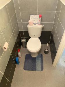 a bathroom with a toilet in a tiled room at Chambres d'hôtes Drome in Chatuzange-le-Goubet