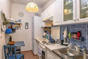 Kuchyňa alebo kuchynka v ubytovaní Villa Cincilograd
