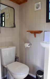 a bathroom with a white toilet and a mirror at Large Luxury Shepherds Hut with Hot Tub nr Bath in Bristol