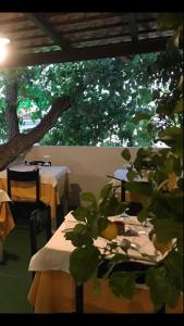 un restaurante con mesas, sillas y un árbol en Cinquestelle Albergo del centro storico, en Palinuro