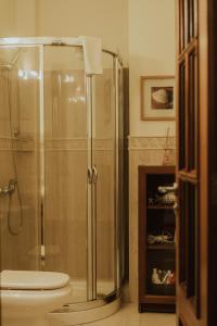 a bathroom with a shower and a toilet and a fireplace at Apartamento en Casco Histórico in San Sebastián de la Gomera