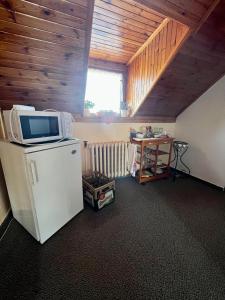 Cette chambre dispose d'un four micro-ondes et d'un réfrigérateur. dans l'établissement Restaurace a penzion Na Růžku, à Mořina