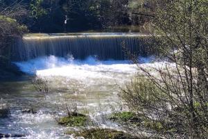 Przyroda w pobliżu tego domu wakacyjnego
