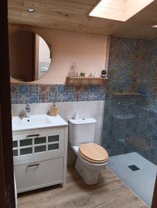 a bathroom with a toilet and a sink and a shower at Casa rural TIO PEDRITO in Robledillo