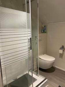 A bathroom at Maria Vendéghaz