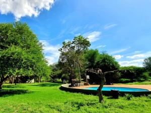 a swimming pool in a park with green grass and trees at KaMsholo Bushveld Safaris 