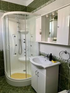 a bathroom with a shower and a sink at Casa din livada in Borşa