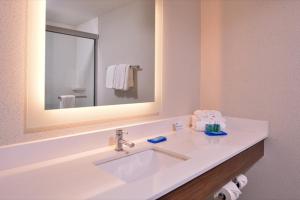 Koupelna v ubytování Holiday Inn Express Hotel & Suites Albany by IHG
