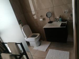 a small bathroom with a toilet and a sink at The Houghton Villa in Johannesburg