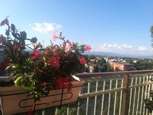 un balcón con dos macetas en una cornisa en Le stanze di Mina, en Cassina deʼ Pecchi