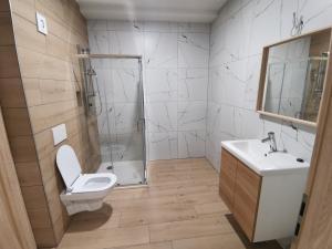 a bathroom with a toilet and a shower and a sink at PUBYLAND ROOMS & APARTMENTS in Rogatec