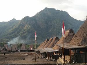 a village with flags in front of a mountain at Arnolds Familly homestay in Bajawa