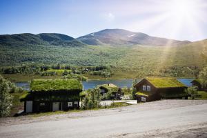 a house with grass roofs with a mountain in the background at Lastølen 2 bedrooms in Sykkylven +2 photos