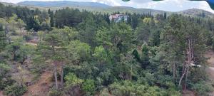 Příroda nedaleko apartmánu