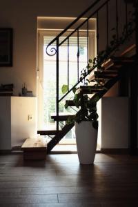 Zdjęcie z galerii obiektu Apartment Andreja, Opatija city center w mieście Opatija