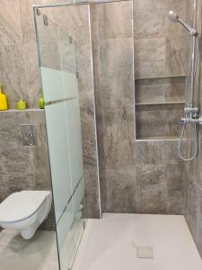 a bathroom with a shower and a toilet at Dlalate in Agadir +4 photos