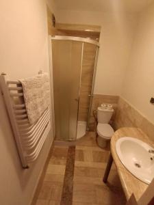 a bathroom with a shower and a toilet and a sink at Śnieżnicki Domek - Masyw Śnieżnika, Sudety in Stronie Śląskie