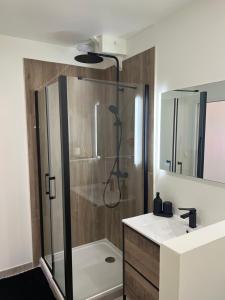 a bathroom with a shower and a sink at Le Clos Saint Fiacre in Carentoir