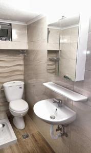 een badkamer met een toilet en een wastafel bij APARTMENTS HARIS in Olympiakí Aktí