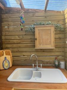 a sink in a kitchen with a wooden wall at Thistlebank Yurt in Llangollen