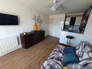 Televízia a/alebo spoločenská miestnosť v ubytovaní Studio cabine mer et pinède 26m2: 4pers, neuf, cosy