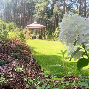 Photo de la galerie de l'établissement Uroczy mały domek na leśnej działce - Łosiówka, à Łosie
