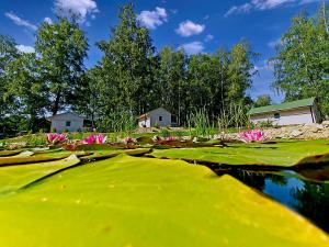 Zahrada ubytování Obora resort