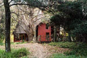 una casa roja con un árbol delante en Hakunamatata Lodge & Health Spa/ Wedding & Conference venue, en Muldersdrift