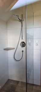 a shower with a shower head in a bathroom at Haus Christina in Weissensee