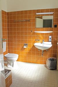La salle de bains est pourvue de carrelage orange, de toilettes et d'un lavabo. dans l'établissement Autobahn Hotel Pfungstadt Ost, à Pfungstadt