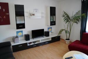 a living room with a tv and a potted plant at Ferienwohnung NEA in Dietersheim