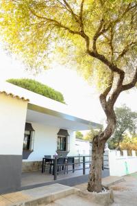 Fotografia z galérie ubytovania Casa La Herradura 2 v destinácii Vejer de la Frontera