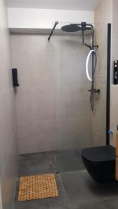 La salle de bains est pourvue d'une douche, de toilettes et d'un miroir. dans l'établissement Nice: Bel Appartement Vue Mer avec Grande Terrasse, à Nice