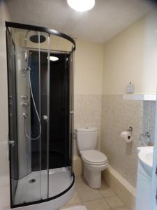 La salle de bains est pourvue d'une douche, de toilettes et d'un lavabo. dans l'établissement La Petite Grange, à Lorignac