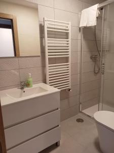 a bathroom with a sink and a shower at Pension Xacobeo Lavacolla in Lavacolla