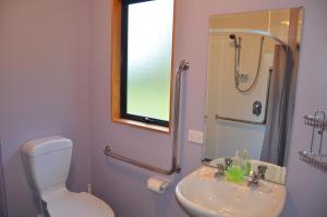 een badkamer met een toilet, een wastafel en een spiegel bij Catlins Newhaven Holiday Park in Owaka