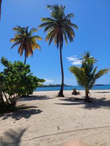 Tres palmeras en una playa de arena con el océano en Cabana Playa Cambiaso, en San Felipe de Puerto Plata