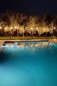 a blue swimming pool with a row of trees at night at Podere Milla in Montale