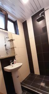 Koupelna v ubytování Large, sunny 2nd floor with separate enterance. + 12 fotografií