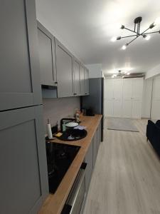 Fotografie z fotogalerie ubytování Apartament rafinat cu grădină privată v destinaci Floreşti + 6 fotografií