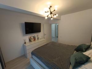 1 dormitorio con 1 cama y TV de pantalla plana en Apartament rafinat cu grădină privată, en Floreşti