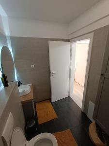 uma casa de banho com um WC e um lavatório em Apartament rafinat cu grădină privată em Floresti