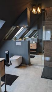 an attic bathroom with a toilet and a sink at Appart-Hotel REB_ART in Deidesheim +20 photos