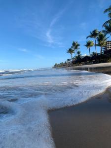 a sandy beach with palm trees and the ocean at Apê de Mainha in Ilhéus