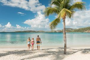 a family walking on the beach with a palm tree at Secret Harbour Beach Resort in Nazareth