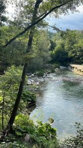 Colli al VolturnoにあるCasa Vacanze da Paolaの森の横に岩や木が並ぶ川