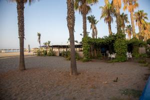 a group of palm trees and a building on the beach at La Casita del Pescador in Caleta De Velez