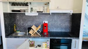 a kitchen with a sink and a counter top at Le Coeur de Pontarlier in Pontarlier