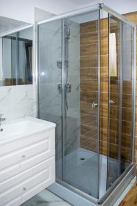 La salle de bains est pourvue d'une douche en verre et d'un lavabo. dans l'établissement Liniștea Codrului, à Borşa